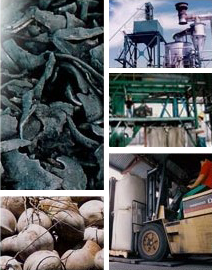 Premium A.C. Corporation | Manufacturers of Steam Activated Carbon from Coconut Shell